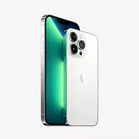 APPLE iPhone 13 Pro Max (Silver, 1 TB) - Master
