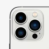 APPLE iPhone 13 Pro Max (Silver, 1 TB) - Master