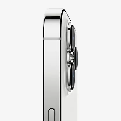 APPLE iPhone 13 Pro Max (Silver, 1 TB) - Master