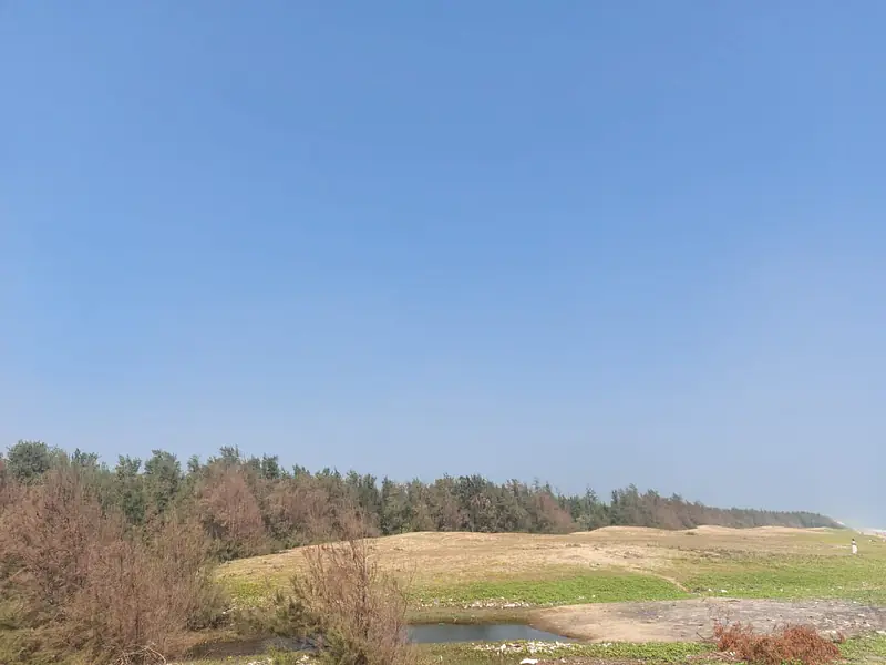 Ecr Sea Facing  House @1750RS  sqft Palm Trees Beach Farm House East Coast Road Nemmeli 1 Ground On Beach - Master