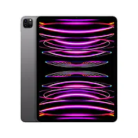 iPad Pro 12.9 inch Wifi+Cellular - Master