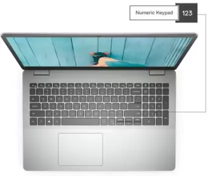 DELL Inspiron 3501 Core i3 10th Gen - (8 GB/1 TB HDD/Windows 10 Home) - Master