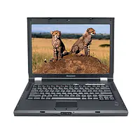 Lenovo 3000 N100 (3GB+250GB) 15.4-inch - Master