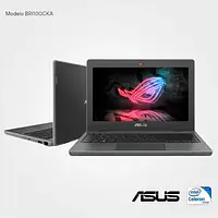Asus Br1100ck Intel Celeron N4020 4GB 64GB - Master