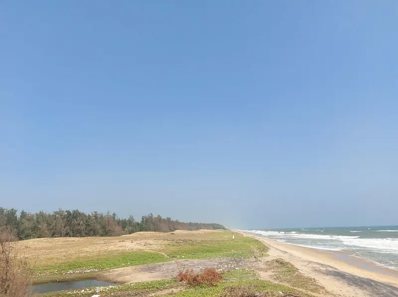Ecr Sea Facing  House @1750RS  sqft Palm Trees Beach Farm House East Coast Road Nemmeli 1 Ground On Beach - Master