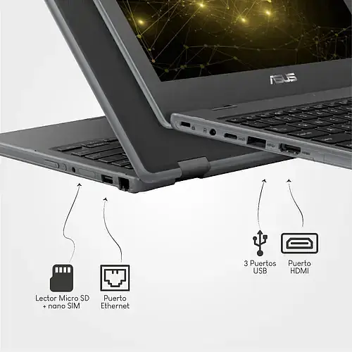 Asus Br1100ck Intel Celeron N4020 4GB 64GB - Master