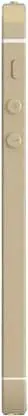 APPLE iPhone 5s (Gold, 16 GB) WITHOUT BOX - Master