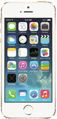 APPLE iPhone 5s (Gold, 16 GB) WITHOUT BOX - Master