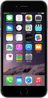 APPLE iPhone 6 (Space Grey, 16 GB) WITHOUT BOX - Master