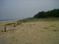 Sea Facing Palm Trees Beach House  1 ACRE Farm House East Coast Road Nemmeli  Ecr On Beach best dream house property - Master