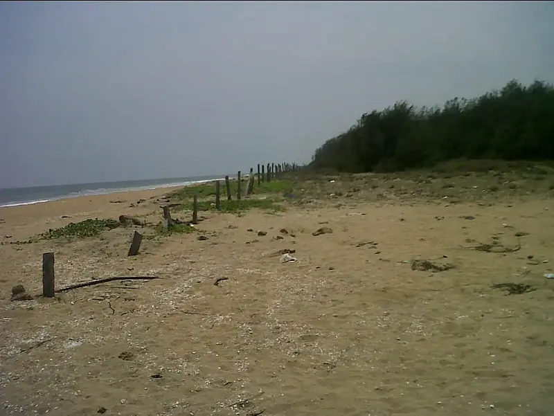 Sea Facing Palm Trees Beach House  1 ACRE Farm House East Coast Road Nemmeli  Ecr On Beach best dream house property - Master