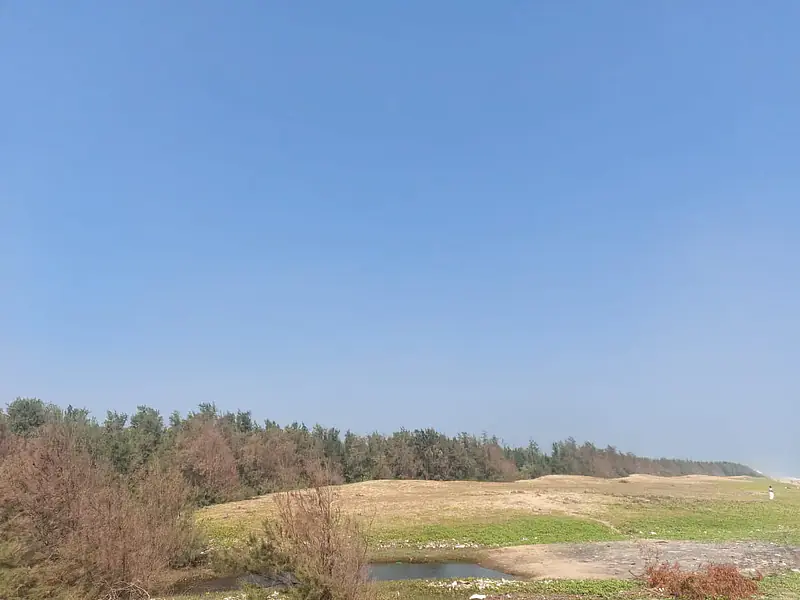 Sea Facing Palm Trees Beach House  1 ACRE Farm House East Coast Road Nemmeli  Ecr On Beach best dream house property - Master