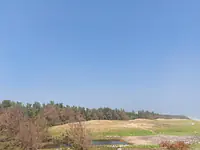 Sea Facing Palm Trees Beach House  1 ACRE Farm House East Coast Road Nemmeli  Ecr On Beach best dream house property - Master