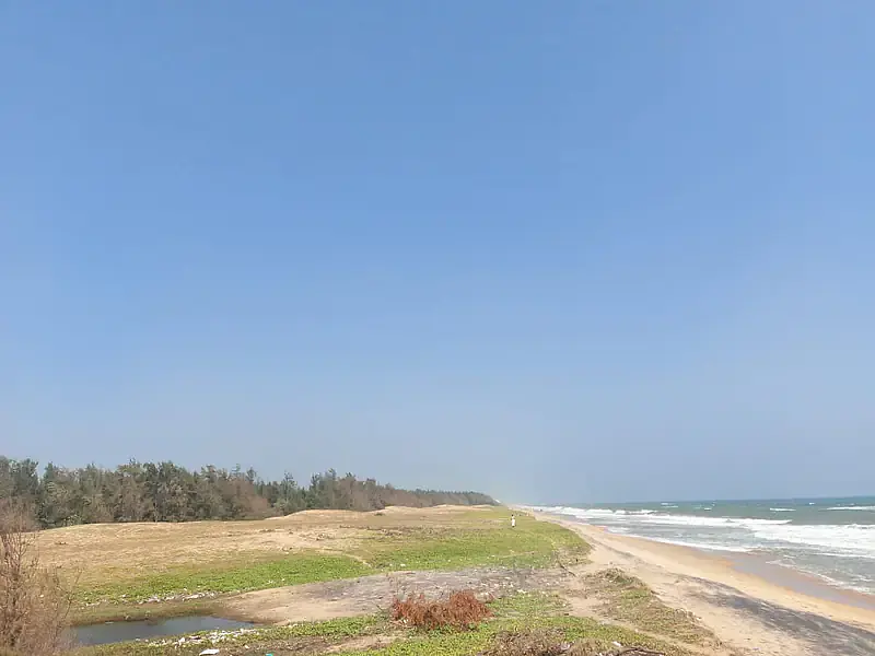 Sea Facing Palm Trees Beach House  1 ACRE Farm House East Coast Road Nemmeli  Ecr On Beach best dream house property - Master