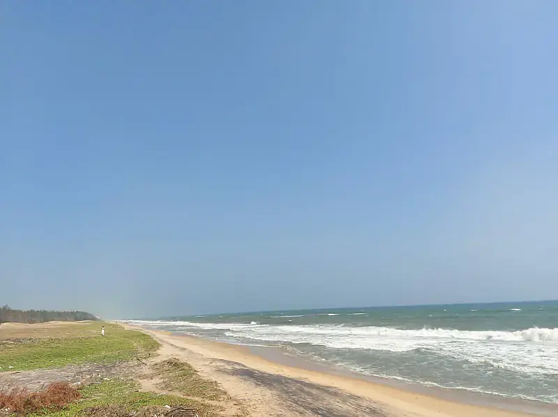 Sea Facing Palm Trees Beach House  1 ACRE Farm House East Coast Road Nemmeli  Ecr On Beach best dream house property - Master