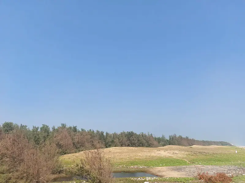 Sea Facing Palm Trees Beach House  1 ACRE Farm House East Coast Road Nemmeli  Ecr On Beach best dream house property - Master