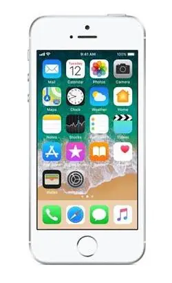 Apple iPhone SE Silver - Master
