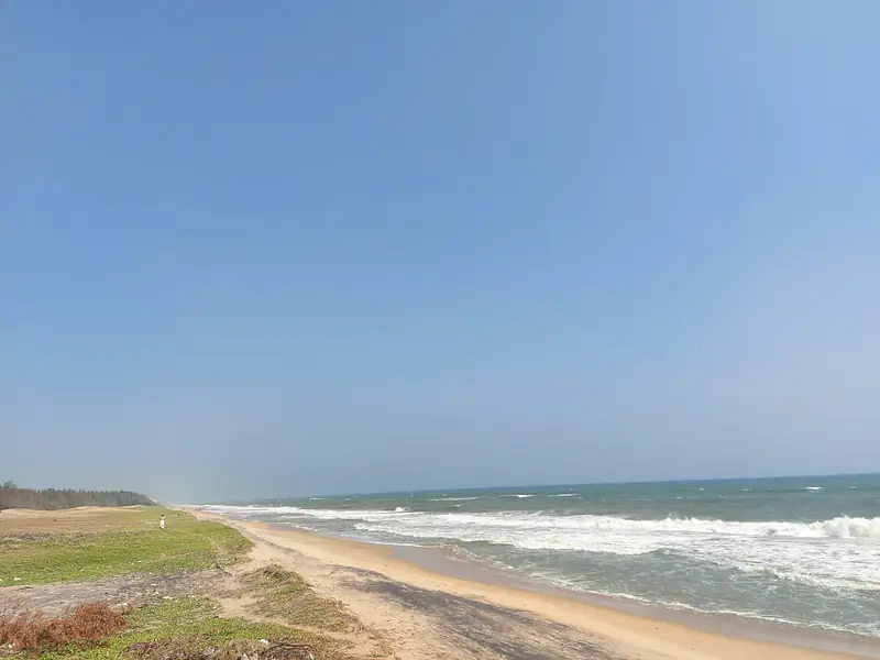 Ecr Sea Facing  House @1750RS  sqft Palm Trees Beach Farm House East Coast Road Nemmeli 1 Ground On Beach - Master