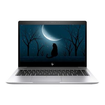 HP Elitebook 745 G5| AMD Ryzen 5 Pro 2500U Laptop ( 8 GB DDR4 RAM | 256 GB SSD 