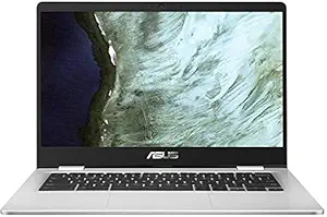 ASUS Chromebook Touch Intel Celeron Dual Core N3350 - (4 GB/64 GB EMMC Storage/Chrome OS) 