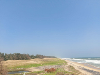 Ecr Sea Facing  House @1750RS  sqft Palm Trees Beach Farm House East Coast Road Nemmeli 1 Ground On Beach