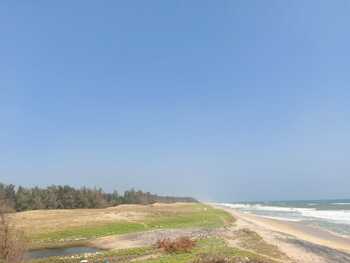 Sea Facing Palm Trees Beach House  1 ACRE Farm House East Coast Road Nemmeli  Ecr On Beach best dream house property