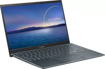 ASUS Zenbook 14 (2021) Core i5 11th Gen - 8 GB/512 GB SSD UX425EA-KI501TS